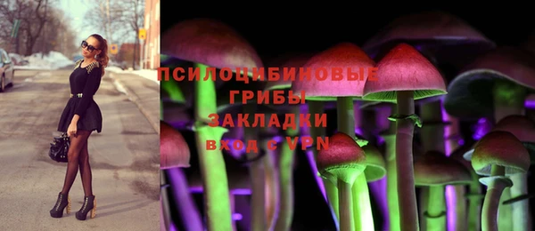 COCAINE Богородск
