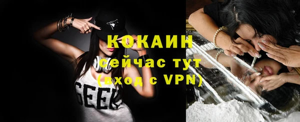шишки Богданович