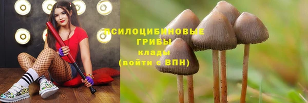 COCAINE Богородск