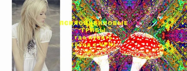 шишки Богданович