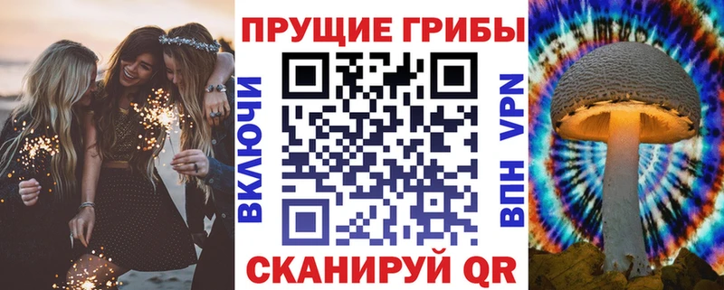 сколько стоит  Можга  Псилоцибиновые грибы Psilocybine cubensis 