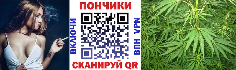 Конопля сатива Можга